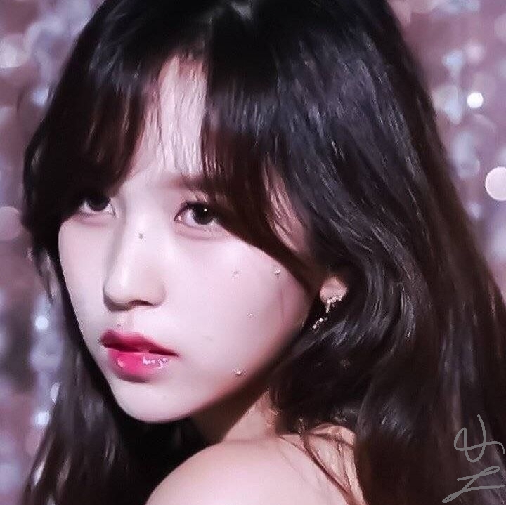 风月无归处