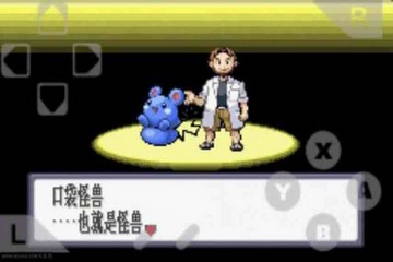 口袋妖怪红宝石截图3