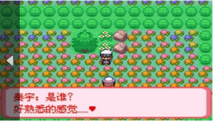 口袋妖怪暗古神坛传说截图1