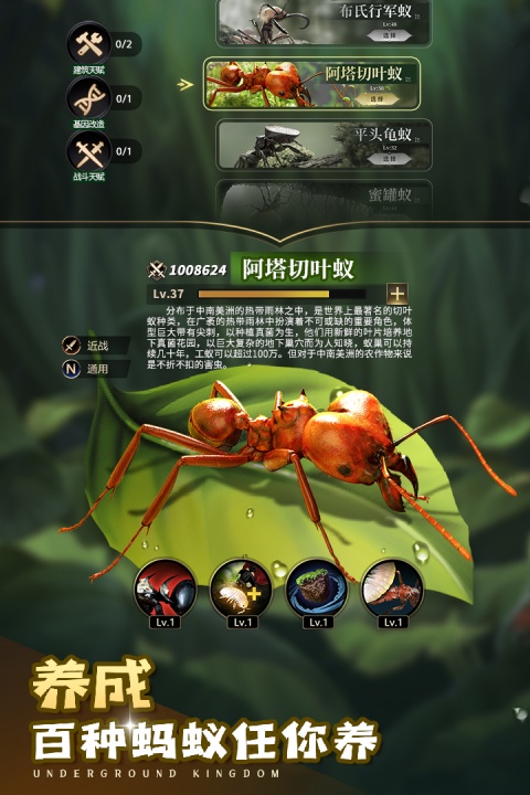 小小蚁国37截图2