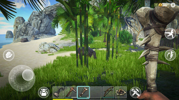 最后的海盗岛屿生存截图1