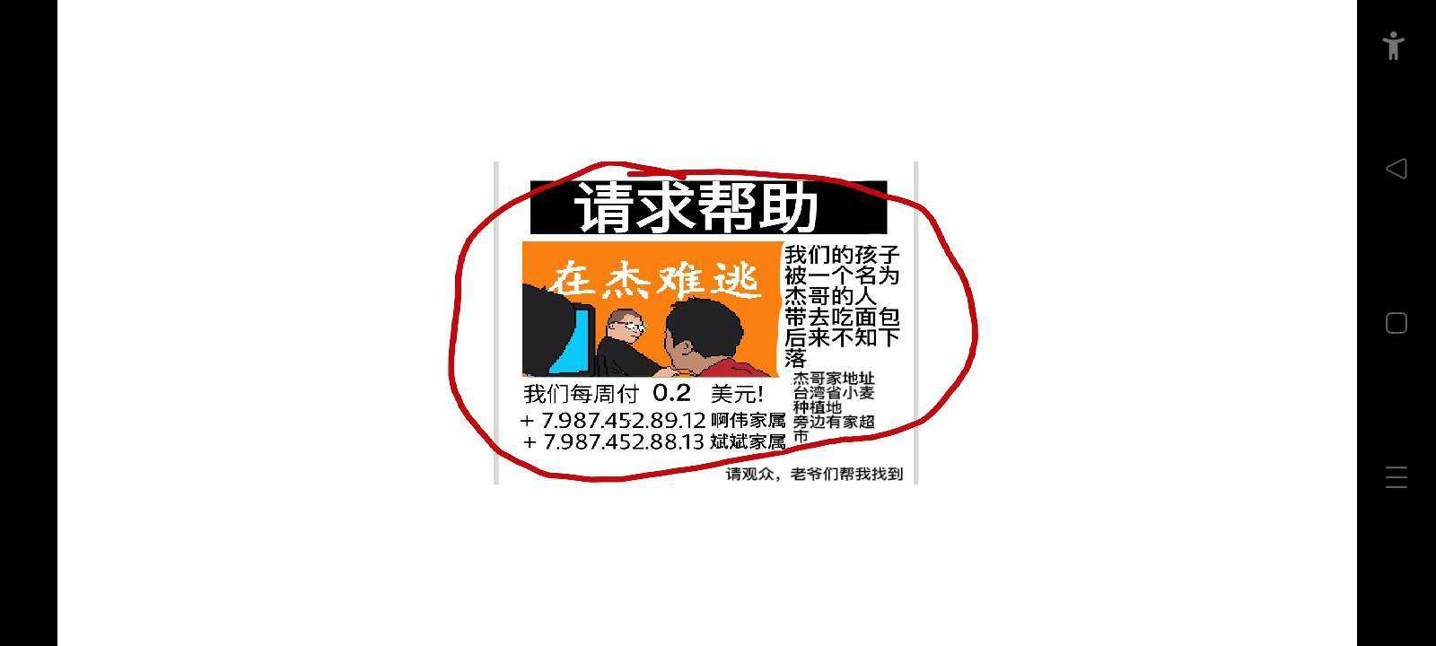 小猪佩奇的午夜后宫截图2