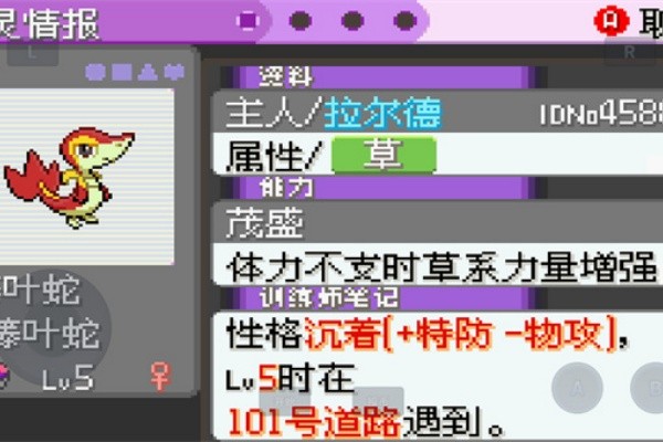 口袋妖怪漆黑的魅影截图2