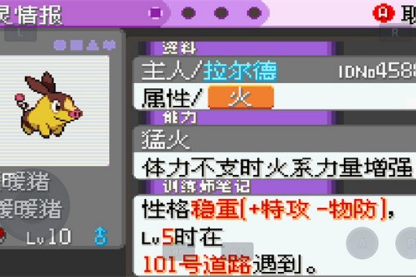 口袋妖怪漆黑的魅影截图4