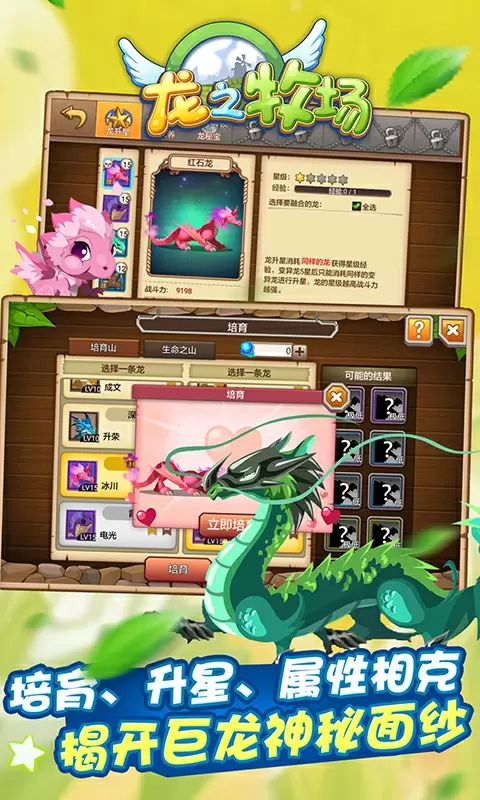 育龙高手截图2