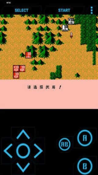 霸王大陆2截图1
