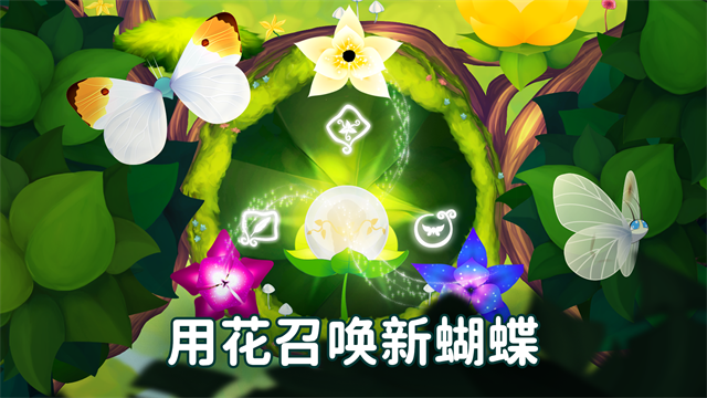 彩翼蝴蝶保护区截图2