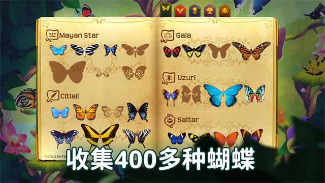 彩翼蝴蝶保护区截图4