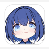 Anich软件