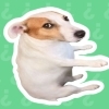 耍起语音盒