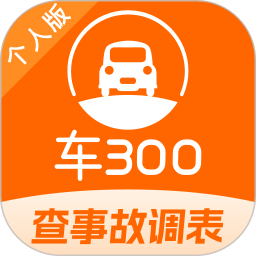 车300二手车