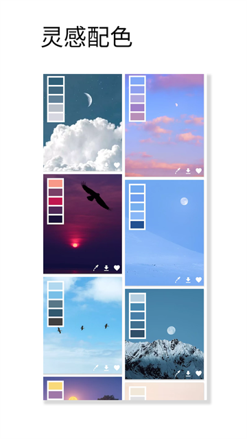 观色配色截图3