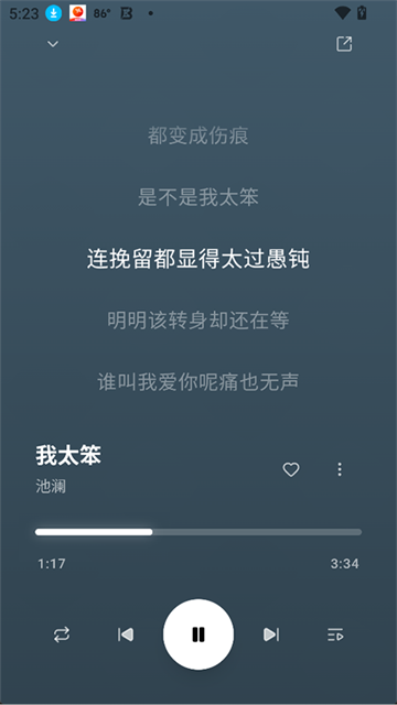 水獭音乐截图1