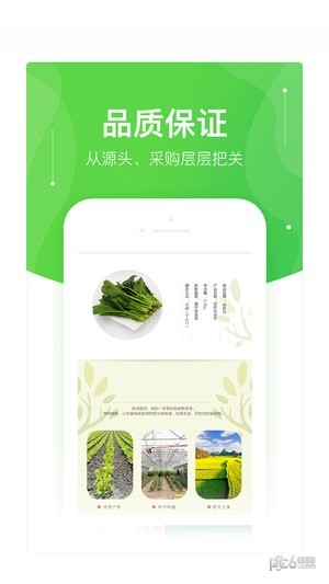 快马送菜截图2