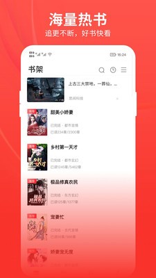 皮皮小说截图1