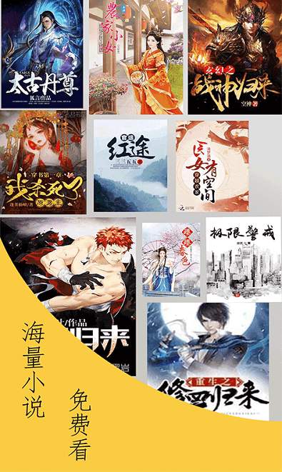 奇猫小说截图3