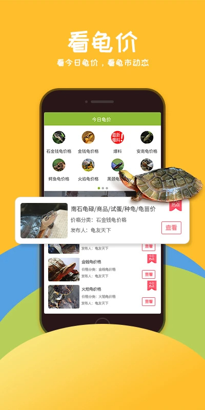 龟友天下截图1