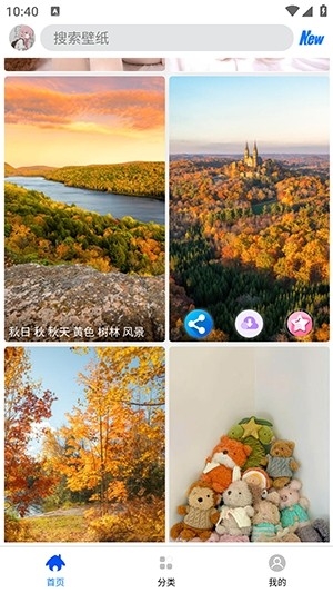 波奇壁纸老版本截图2