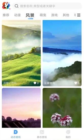小鸟壁纸截图1