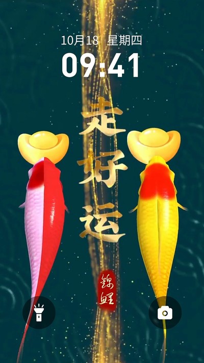 快闪壁纸截图1