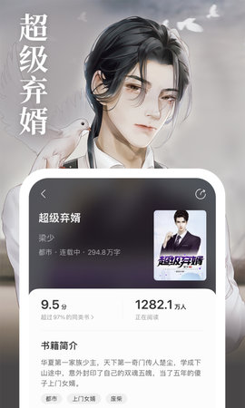 琅阅小说截图1