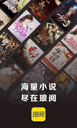 琅阅小说截图2