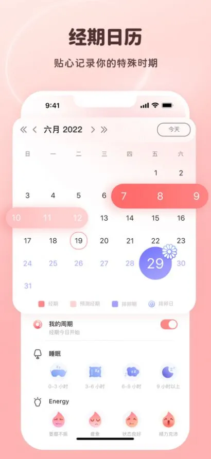 姨妈小日历截图3